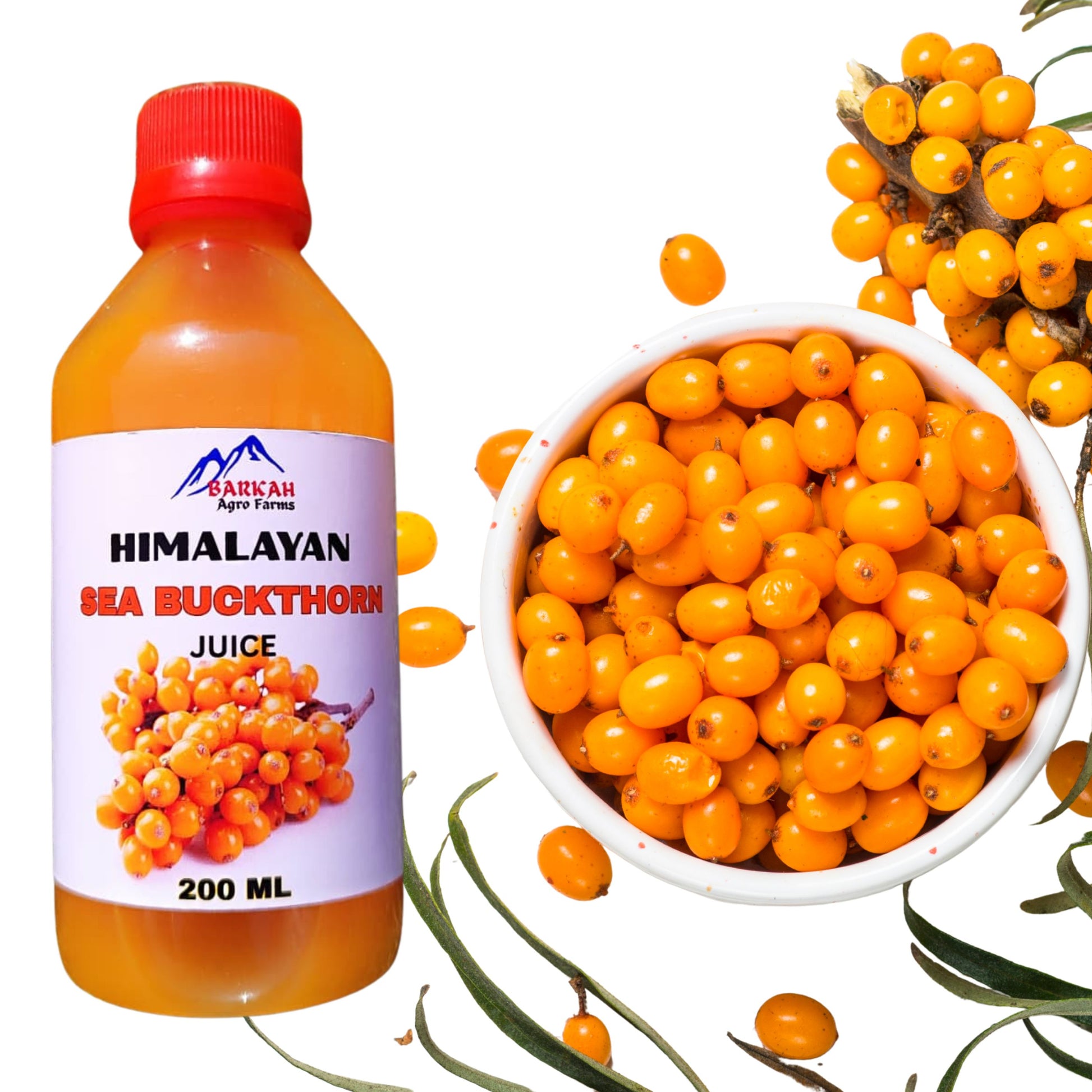Buy kashmiri sea buckthorn online