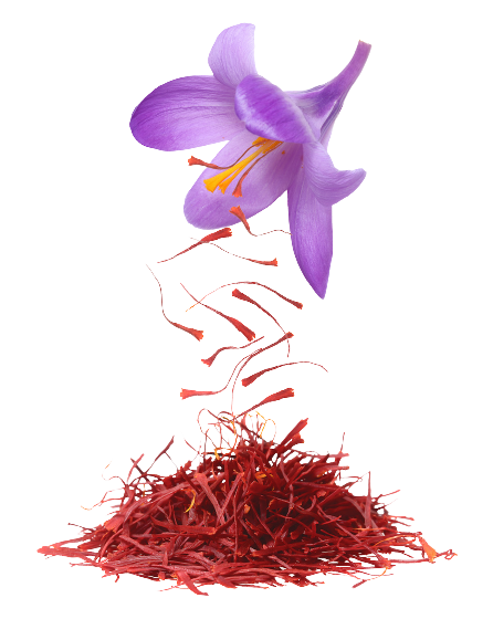 Kashmiri Saffron Price in India