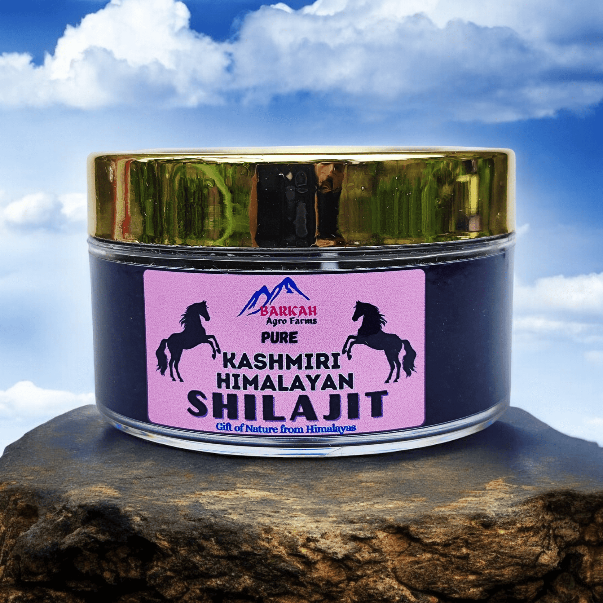 Authentic Kashmiri Shilajit in traditional packaging