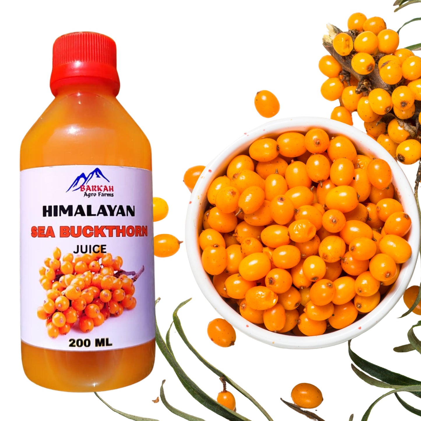 Buy kashmiri sea buckthorn online