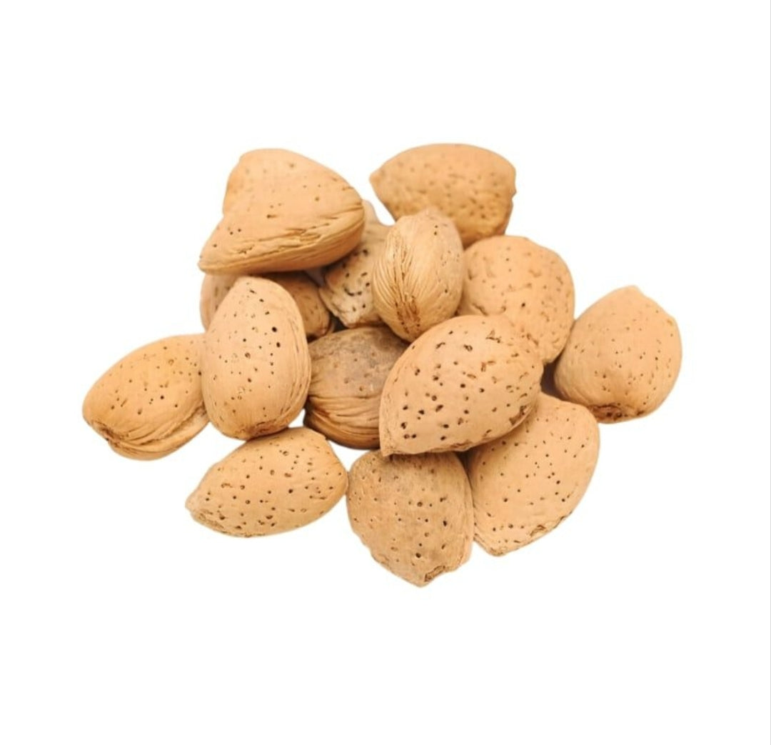 kashmiri almond in shell